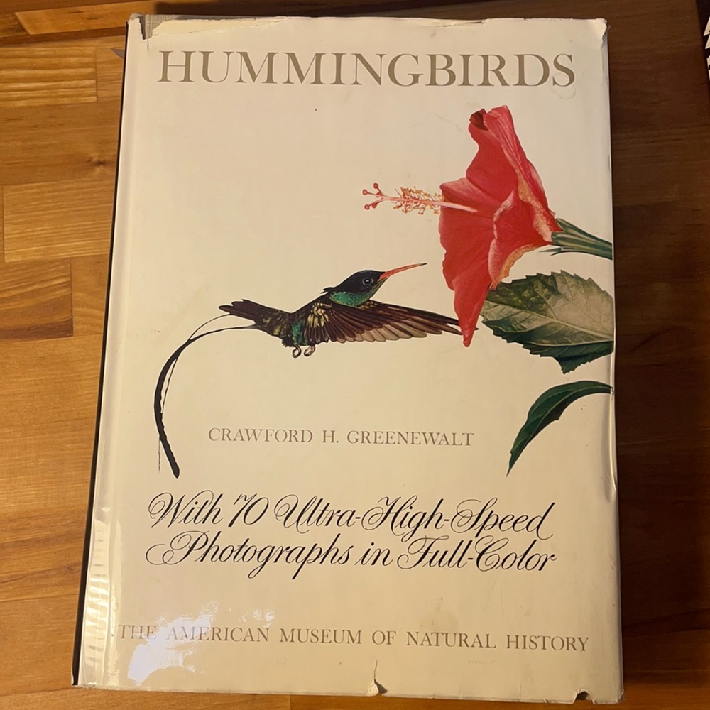 hummingbirds, crawford h. greenwalt